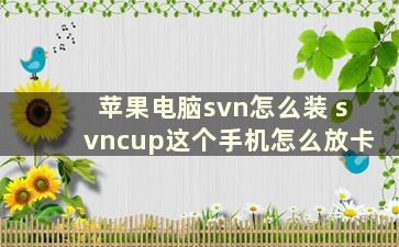 苹果电脑svn怎么装 svncup这个手机怎么放卡